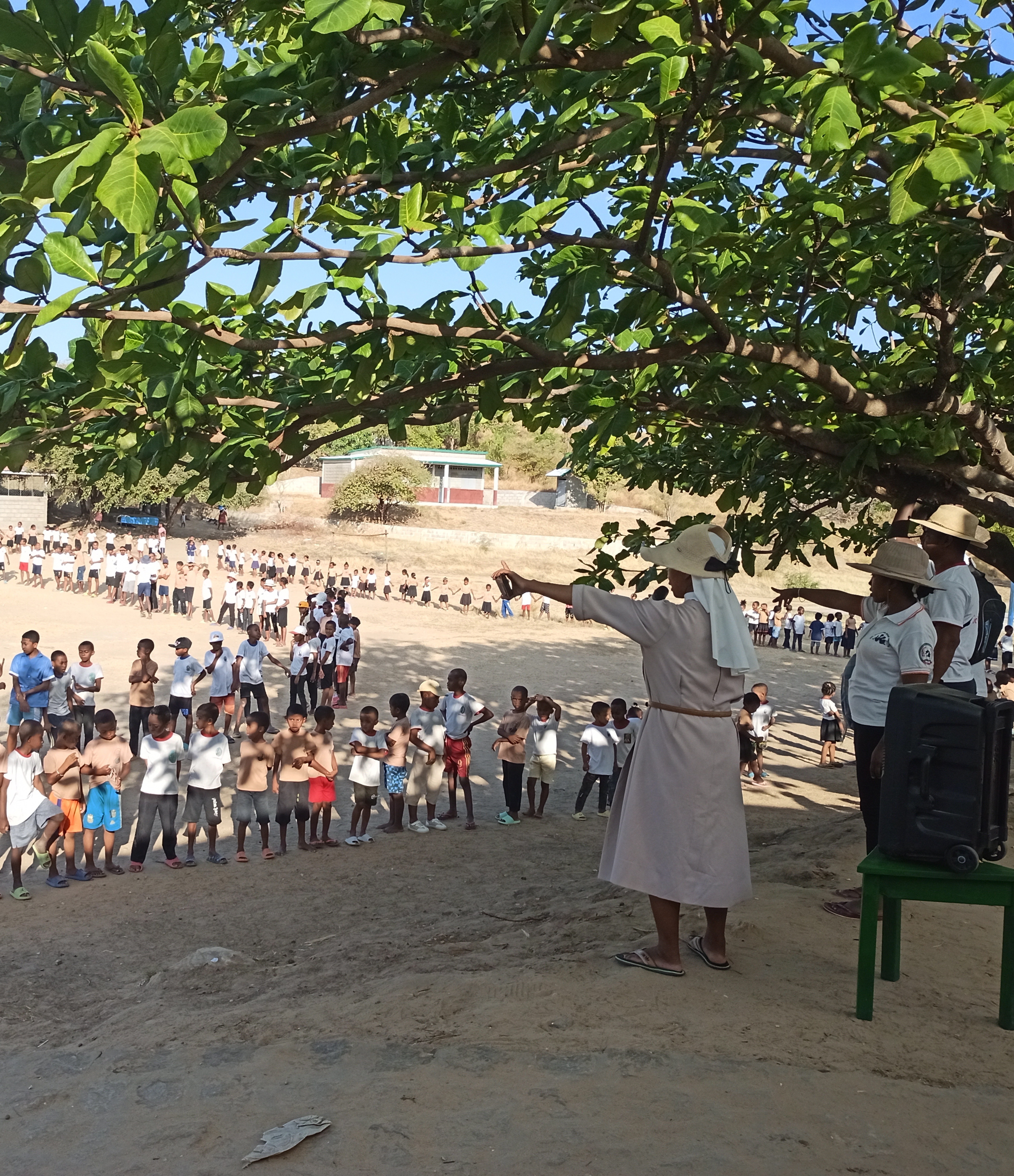 Sacro Cuore di Ges� - diocesi di Tortona